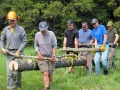 Bridge building crew, moving logs