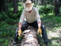 Skinning logs