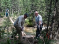 Lining up the log across the creek