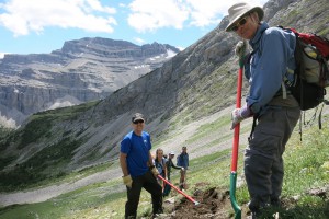 Trail building