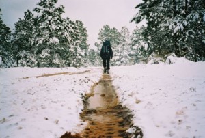 Snowy trail