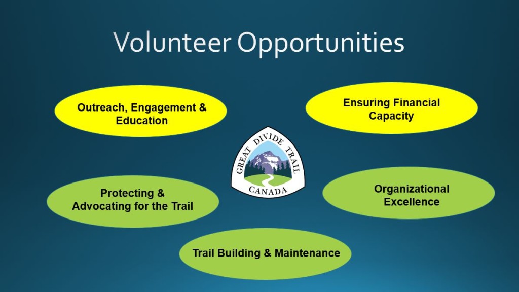 Volunteer opportunities