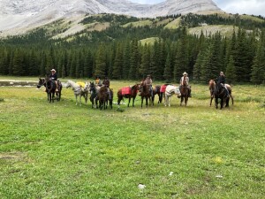 Day 3 - Group shot, horse packers on their main horses, with their pack horses