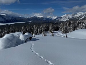 identifying_tracks_snow_13