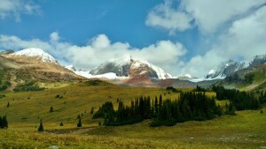 jasper_moose_pass_4