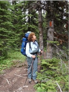 The author gazing at a GDT blaze on the trunk of a subalpine fir tree, Oldman headwaters, August 2010).
