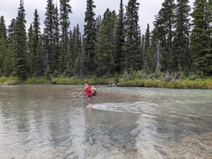 A hiker crosses the narraway river at a shallow gravel bar