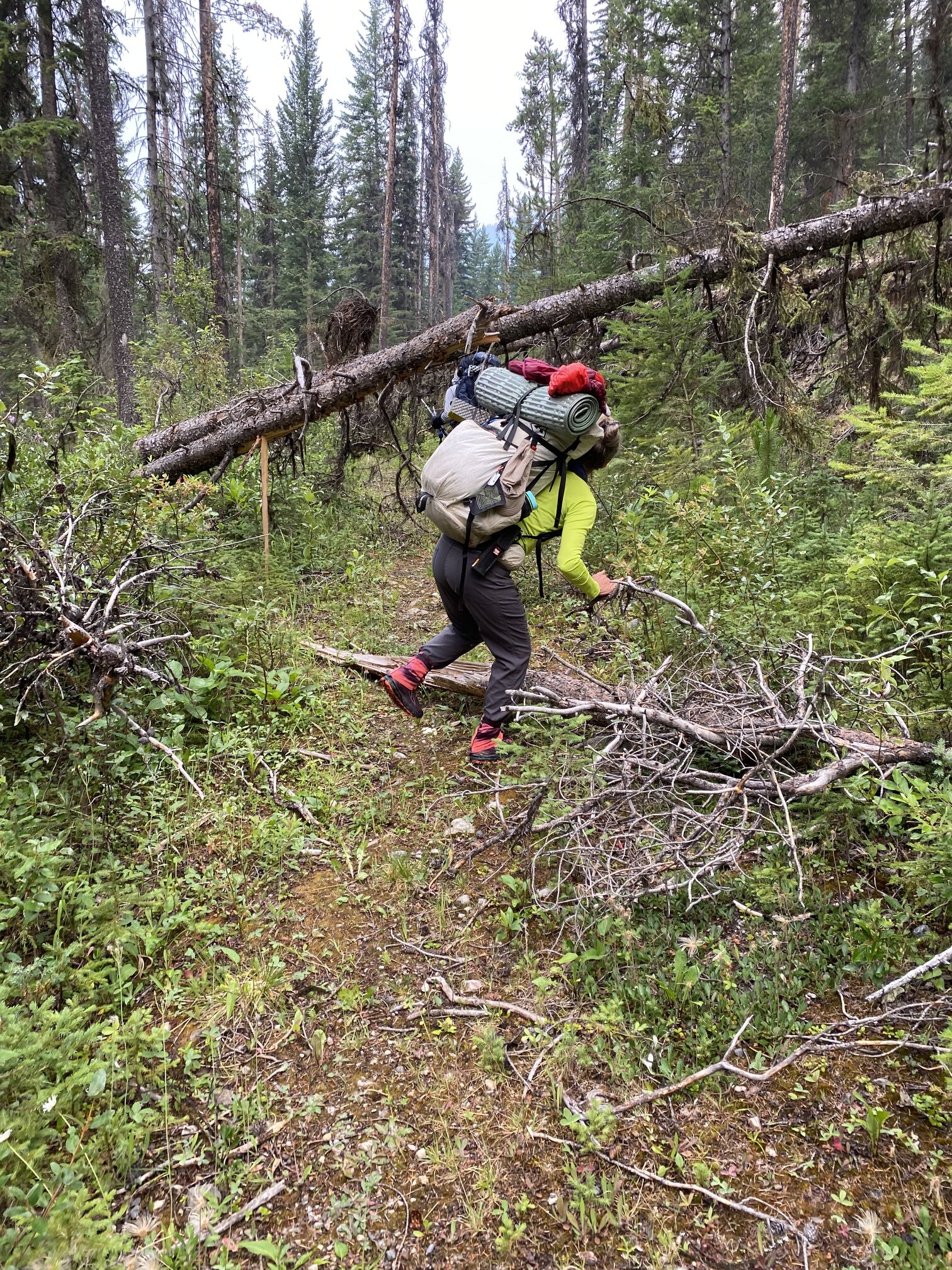 What You Notice Matters