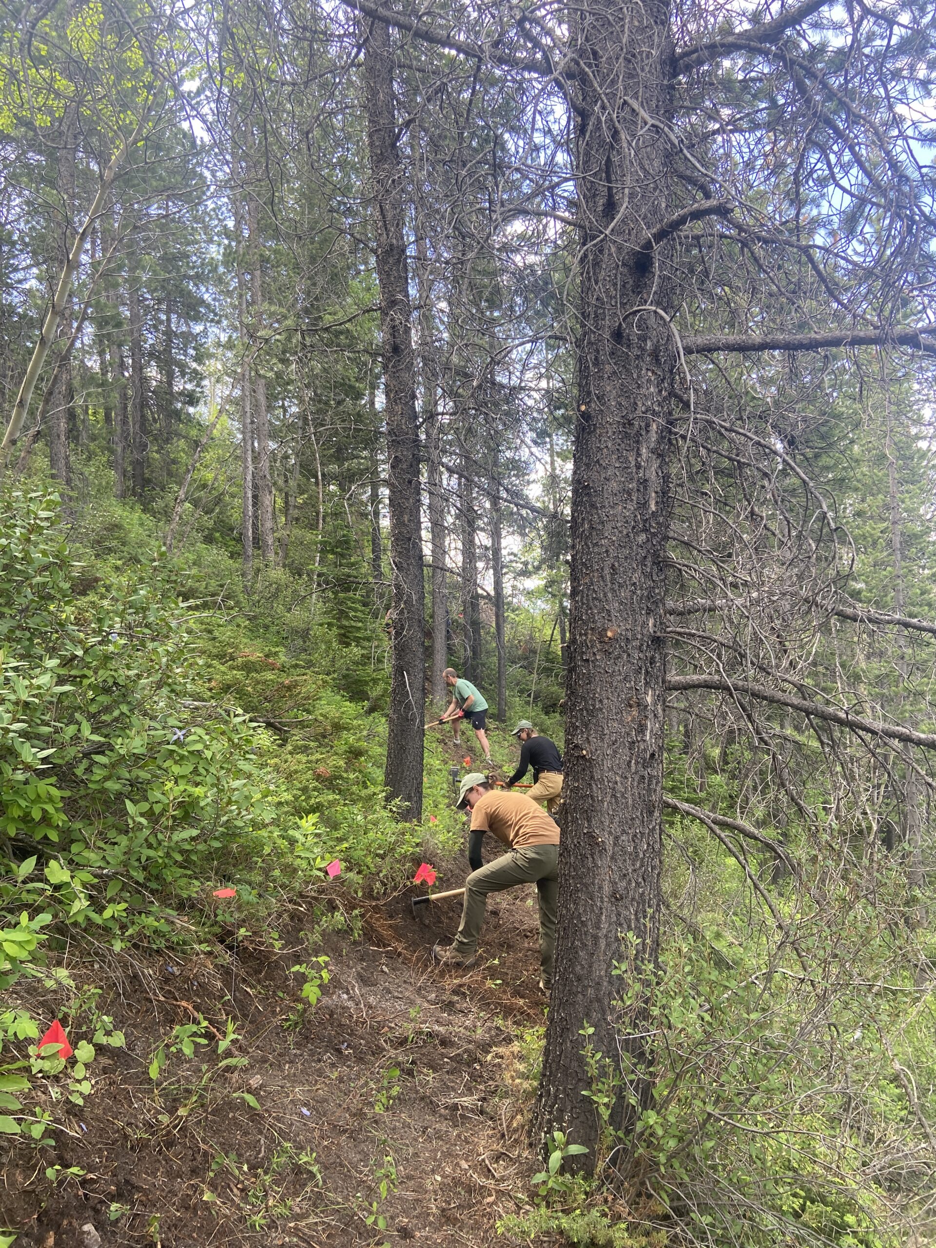 Crowsnest Pass Stewardship Day – June 6, 2026