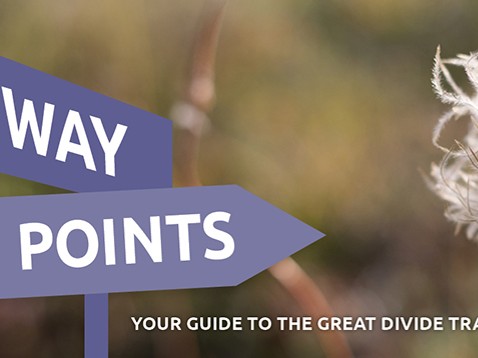WayPoints – August 2026
