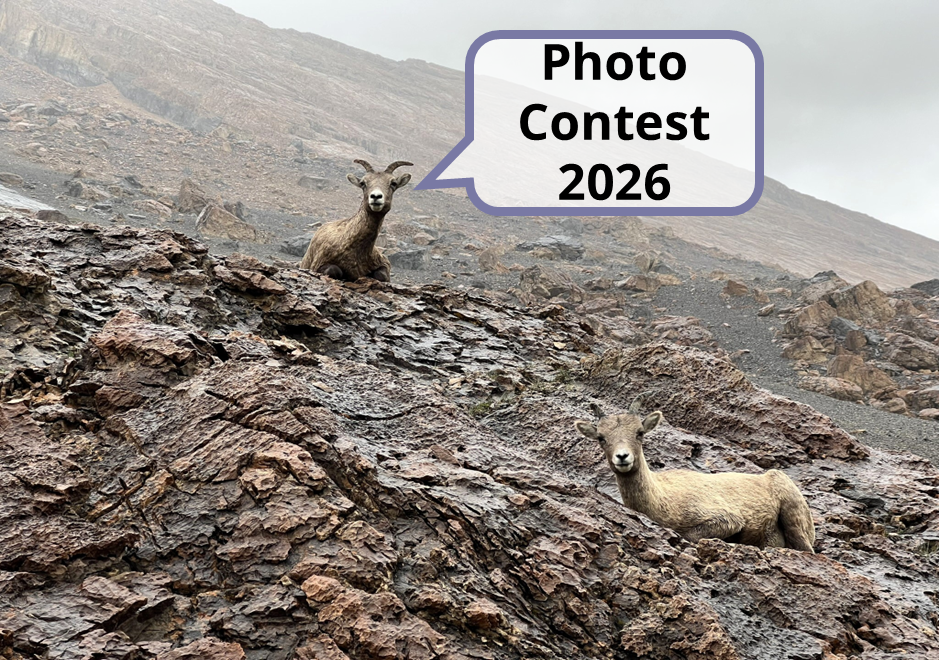 Photo Contest 2026 – Submission Deadline October 12