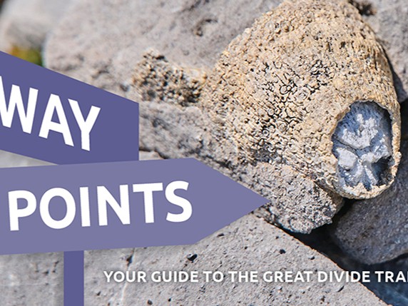 WayPoints – July 2026