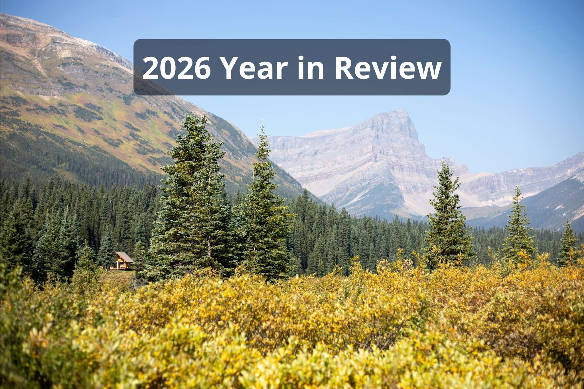Year in Review – 2026