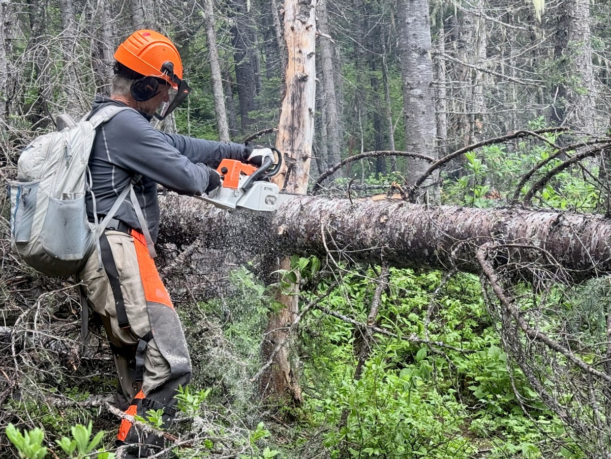 someone chainsawing a fallen tree