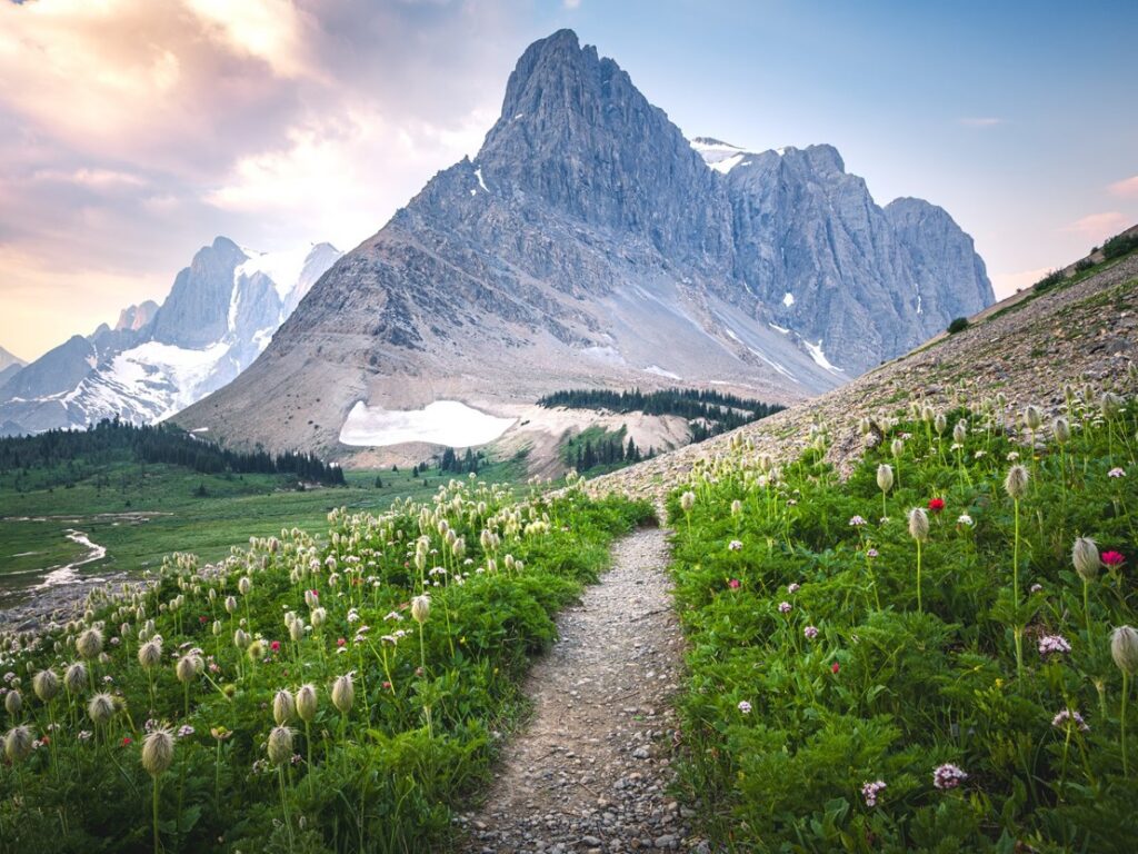 trail heading towards mountains